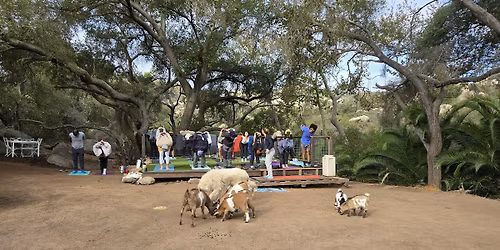 Farm Flow Yoga with Baby Goats