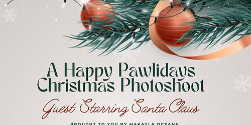 A Happy Pawlidays Christmas Mini Shoots