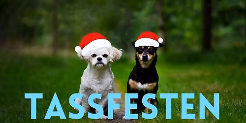 Tassfesten julmarknad 