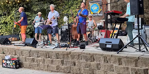 Wealth of Nations plays Picnic in the Park in Davis
