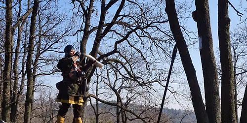 Stirlnadzki Przemarsz