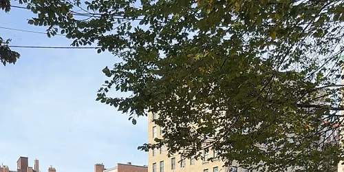 Move for MDS - Boston