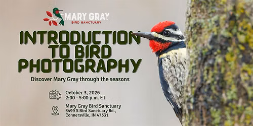 Introduction to Bird and Nature Photography Workshop