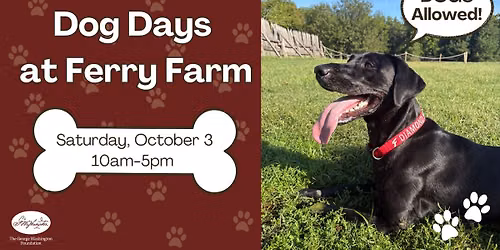 Dog Days at Ferry Farm
