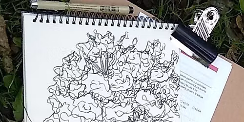Buile Hill Sketch Walk