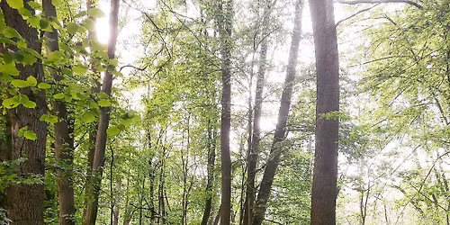 Rezavka: lu\u017en\u00ed (pra)les Ostravy (komentovan\u00e1 vych\u00e1zka)