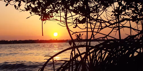 Thousand Island Fest