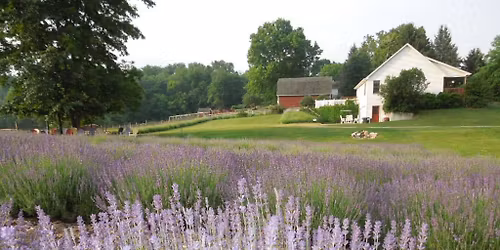 Lavender Hill a vendor at Fernwood Holiday Market Nov. 8th 2025