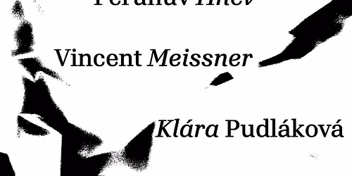 [SKRONK']: solo night: Vincent Meissner, Jan Chalupa, Kl\u00e1ra Pudl\u00e1kov\u00e1, Perun\u016fv Hn\u011bv