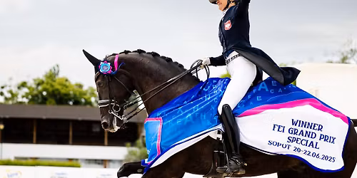 Mi\u0119dzynarodowe i krajowe zawody w parauje\u017cd\u017ceniu i uje\u017cd\u017ceniu