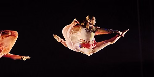 MFA Dance Thesis & ChoreoLab