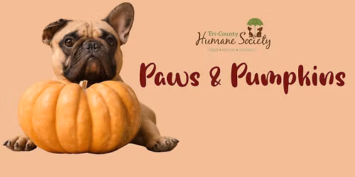 Paws & Pumpkins