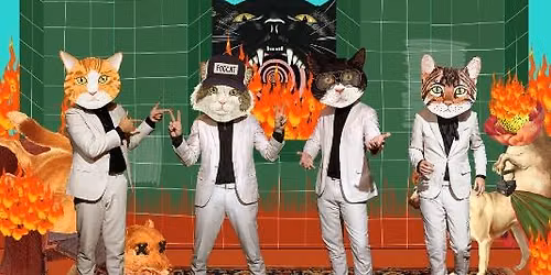 Fantastic Cat w\/ The Pop Cycle