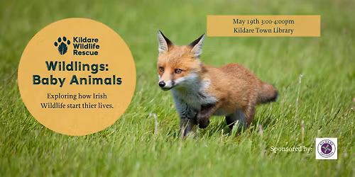 Wildlings: Baby Animals