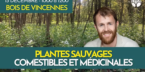 BALADE PLANTES SAUVAGES - BOIS DE VINCENNES