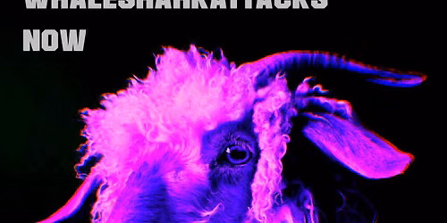 Sad House Daddy presents Its Own Animal + WHALESHARKATTACKS + now ~ Free Entry