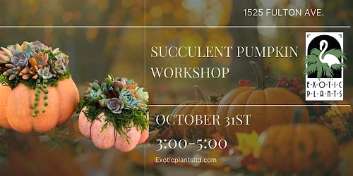 Halloween Pumpkin Arrangement Workshop
