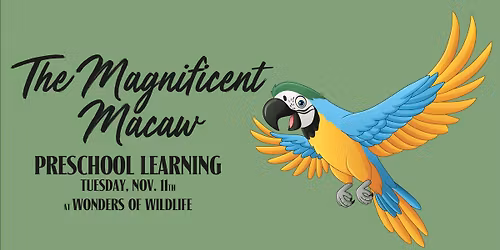 Preschool Learning Classes at Wonders of Wildlife