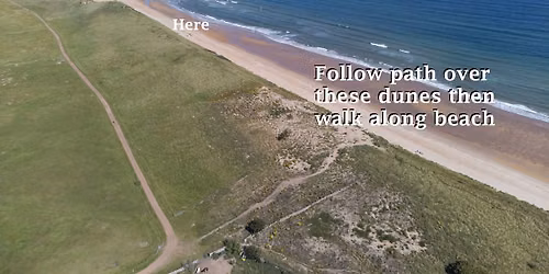 ON TOUR: Tuesday 18th August: (7:45am-3:45pm) Summer Swim and Picnic on Ravenheugh Beach