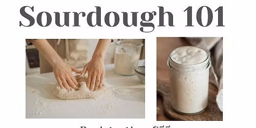 Sourdough 101