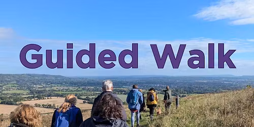 Guided Downland Walk