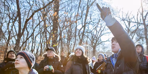 The Great Christmas Bird Count