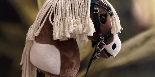 Hobby Horse Competition - Pickering Grange, Leicestershire