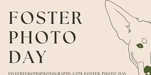 December Foster Photo Day