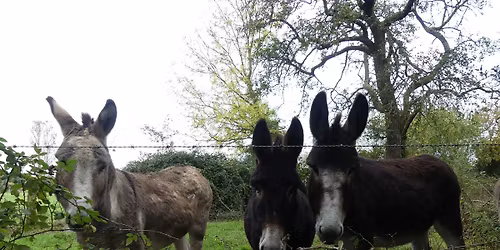 Entre chaumi\u00e8res et rivages : boucle nature de Fatouville \u00e0 Berville-sur-Mer.
