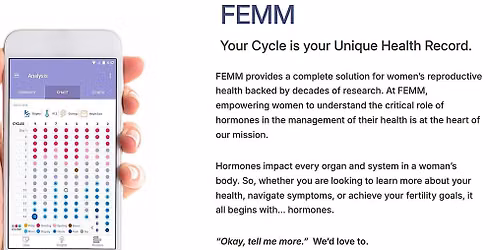FEMM Intro