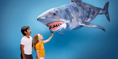 Erth's Shark Dive: Live on Stage