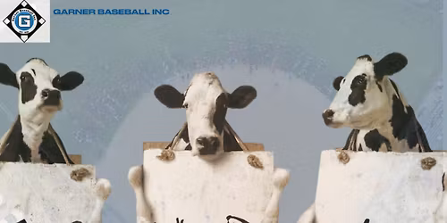 GBI Chick-fil-A Spirit Night