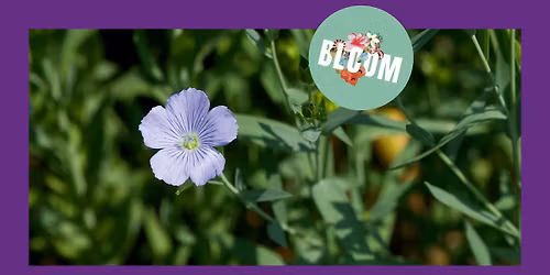 "Bl\u00fchende Felder" \u00b7 Er\u00f6ffnung \u00b7 Schloss Stainz \u00b7 BLOOM