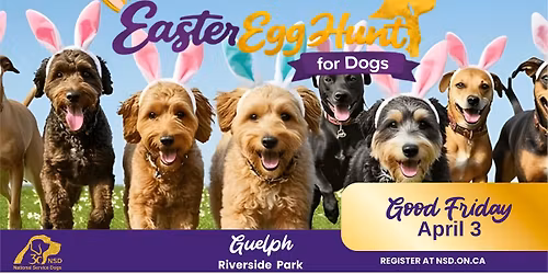 Guelph NSD Easter Egg Hunt for Dogs