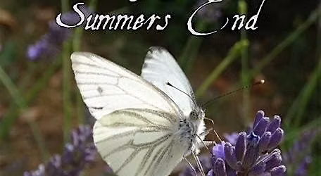 Songs for Summer's End - Bruni at Holy Trinity Goodramgate