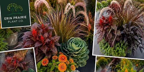 FALL PLANTER EVENING CLASS AT ERIN PRAIRIE