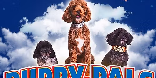 Puppy Pals Live!