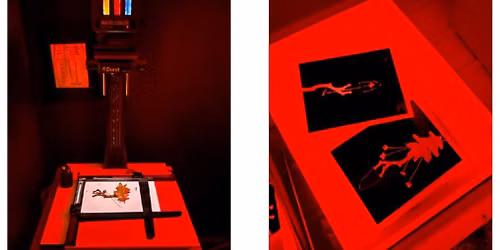 Photogram Printmaking Workshop