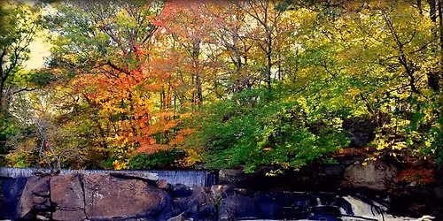 Hunts Mills Hike