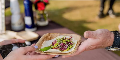 TacoFest at Tampa Riverfest