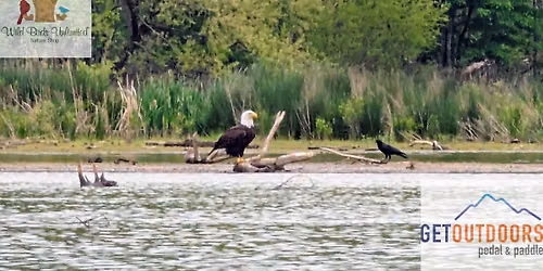 Fall Birding Kayak Tour