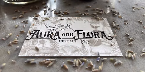 Herbal Salves Class