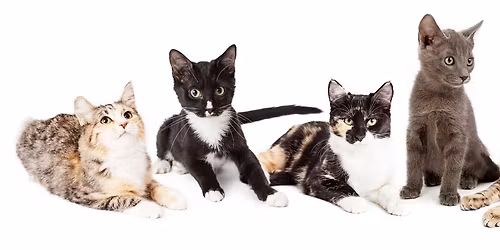 PetSmart East Adoption Meet & Greet