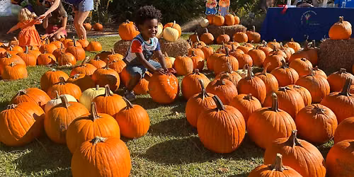 PumpkinFest 2026