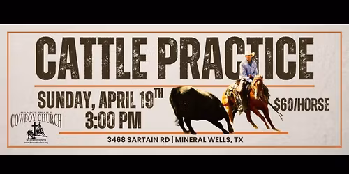 Cattle Practice at Reed Ranch Arena