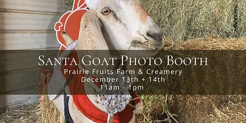 Santa Goats Photo Booth