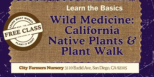 Wild Medicine: California Native Plants & Plant Walk \ud83c\udf31\ud83d\udc63