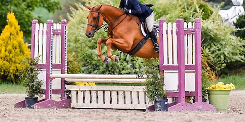Skibbereen Farm Open Horse Show 