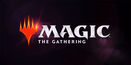 MTG Standard Showdown