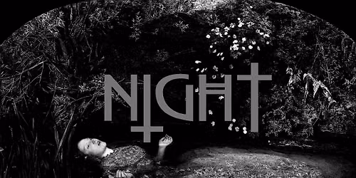 \u20a6\u2021\u20b2\u0126\u2020 \u2022 GOTH NIGHT AT PARTNERS